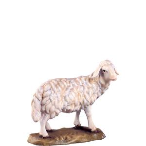 Deur Krippe Schaf stehend 