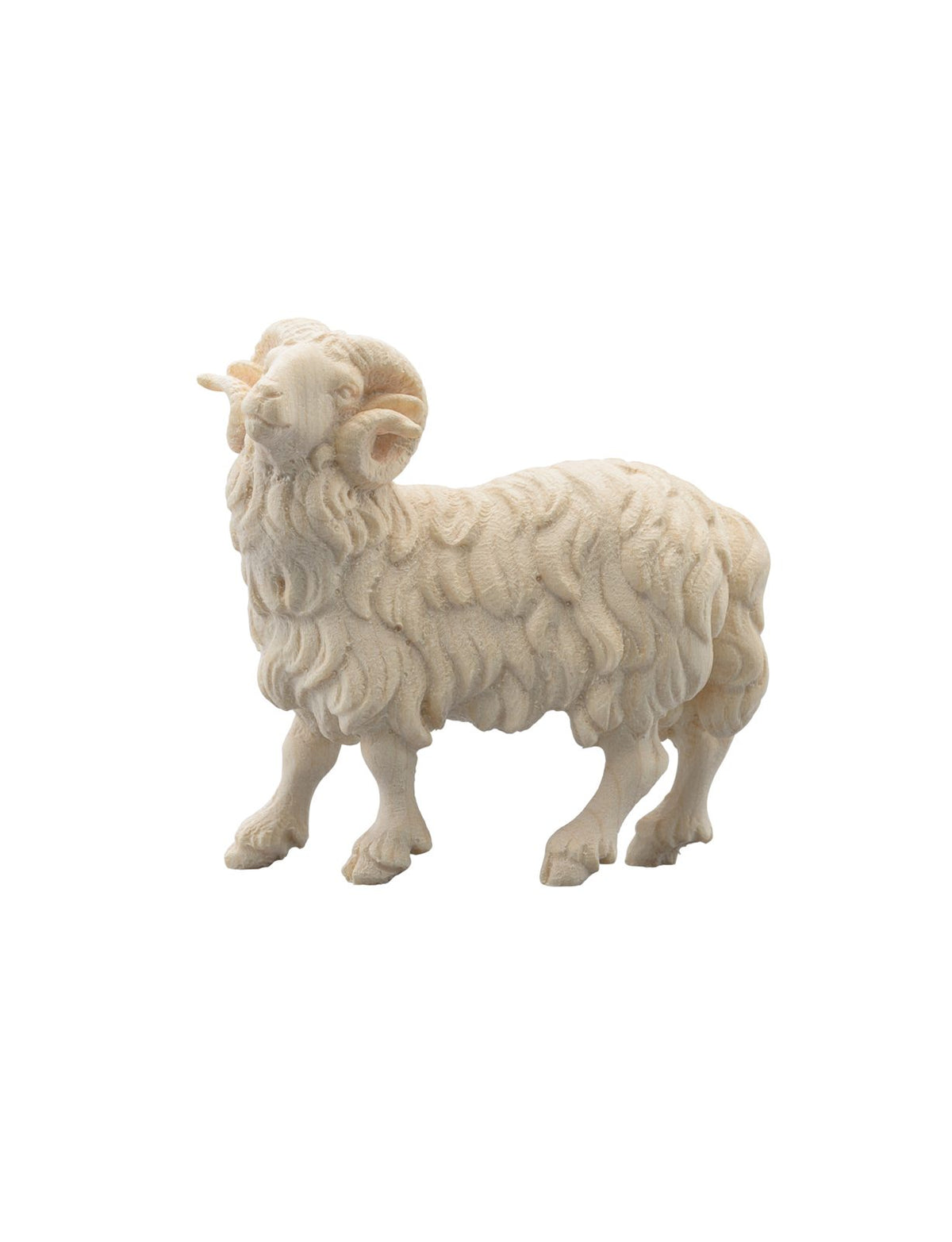 IN Widder weiß