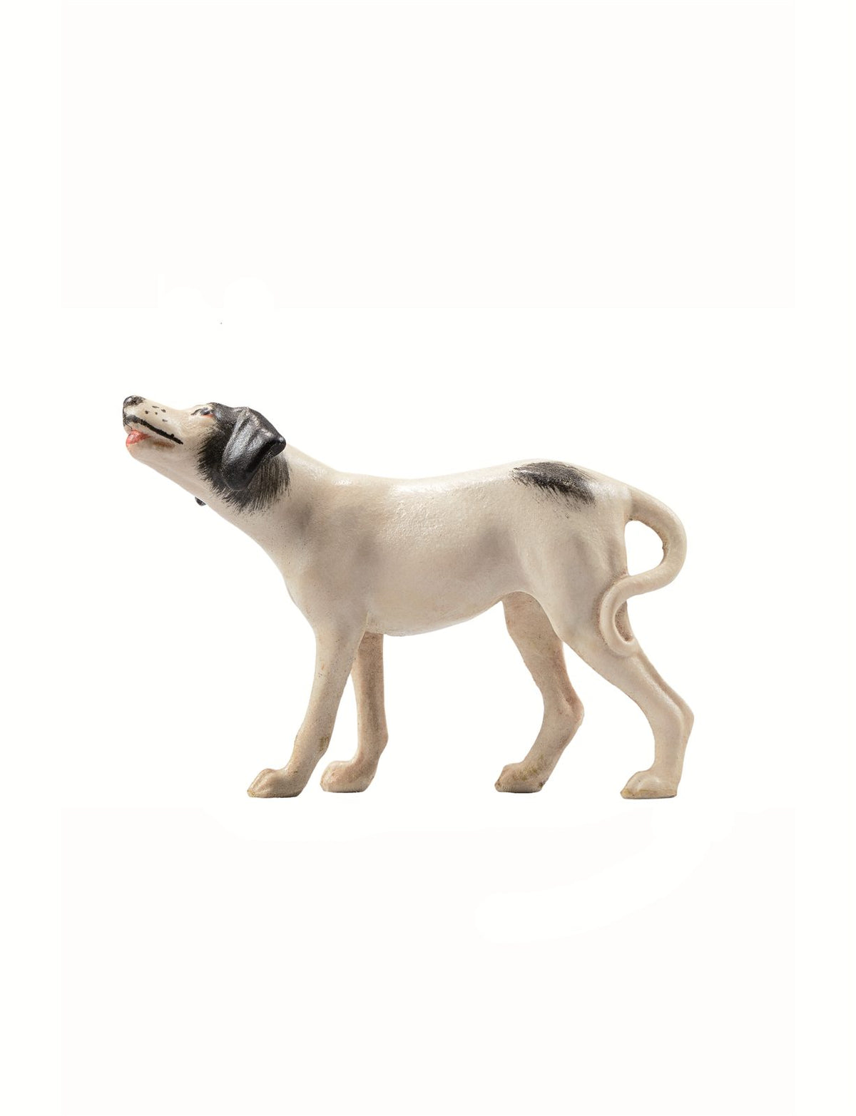IN Hund Pointer