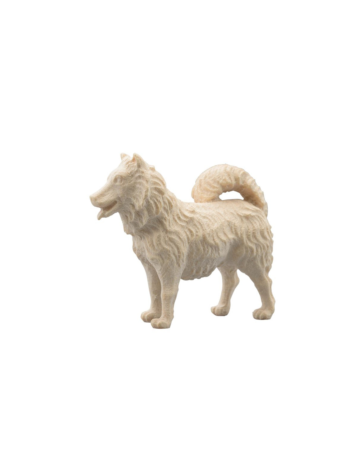 IN Hund Spitz