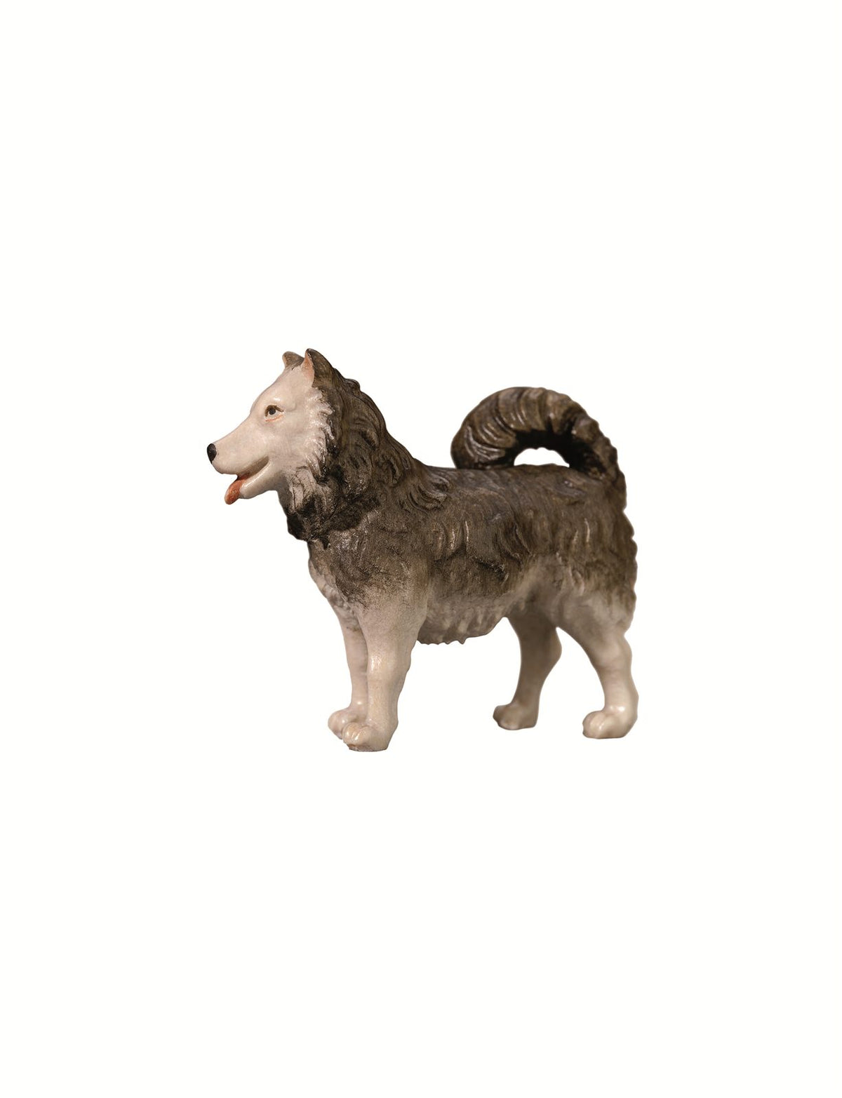 IN Hund Spitz