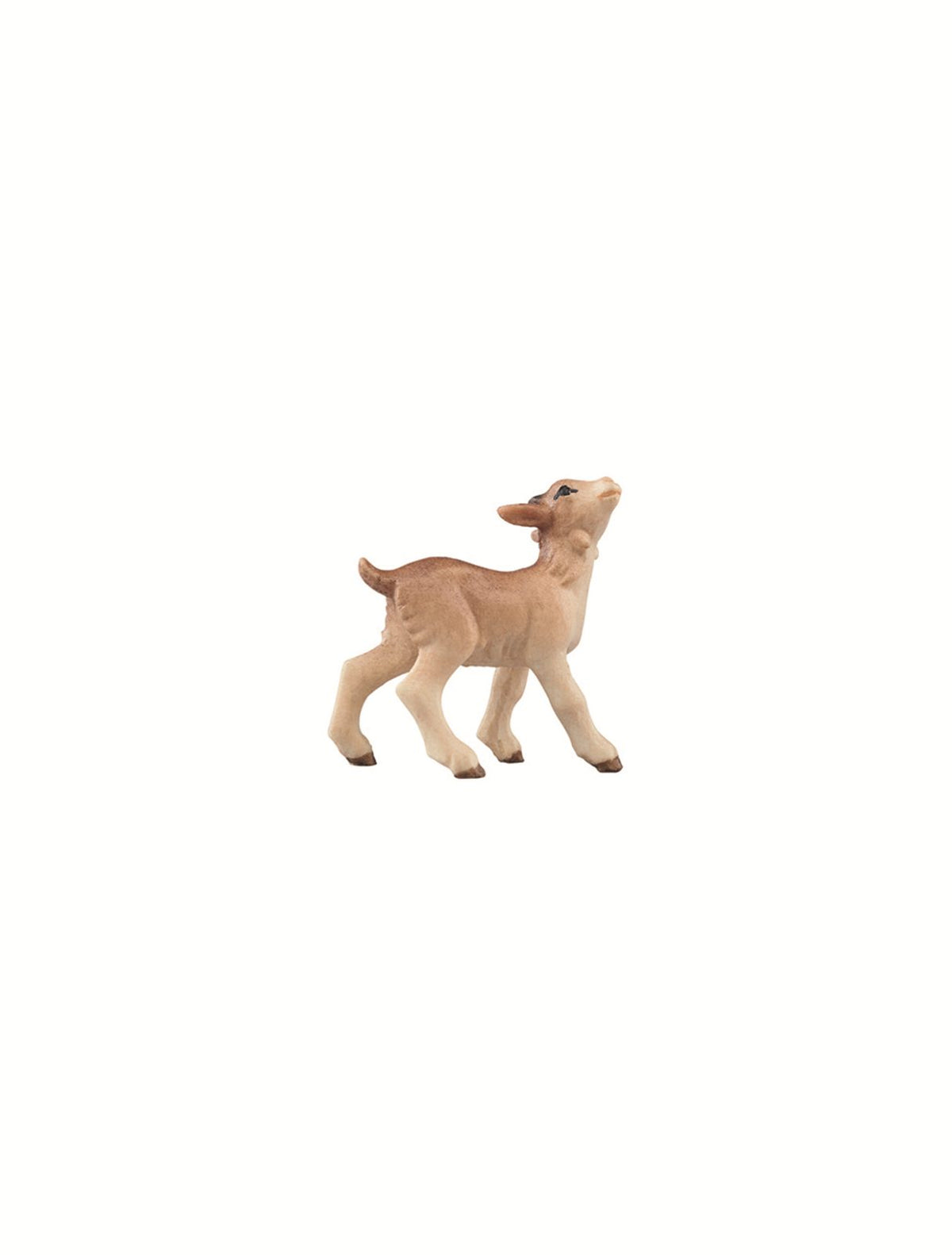 LI Kitz rechts schauend