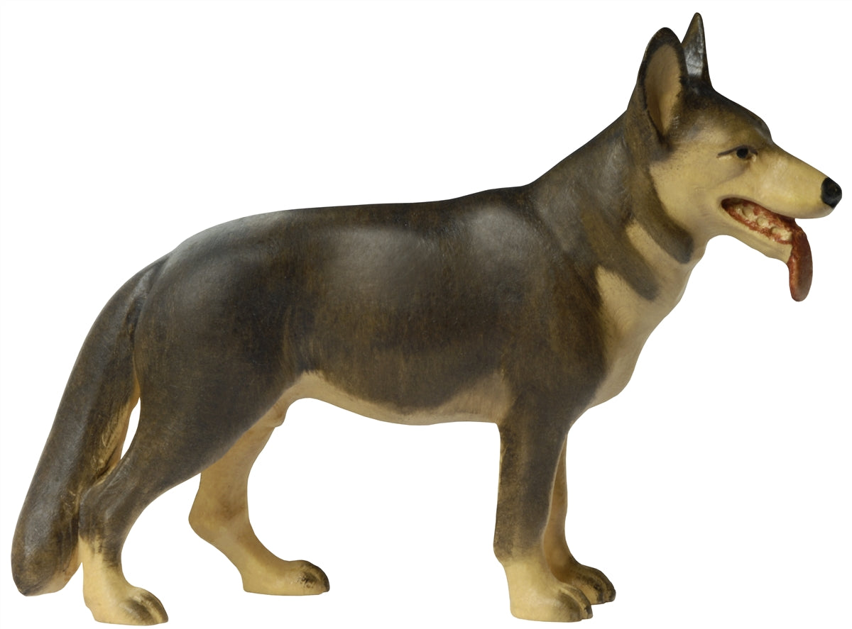 Schäferhund