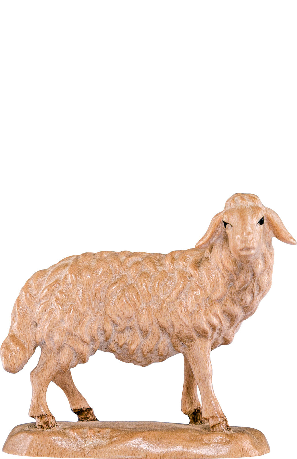 Schaf stehend B.K.