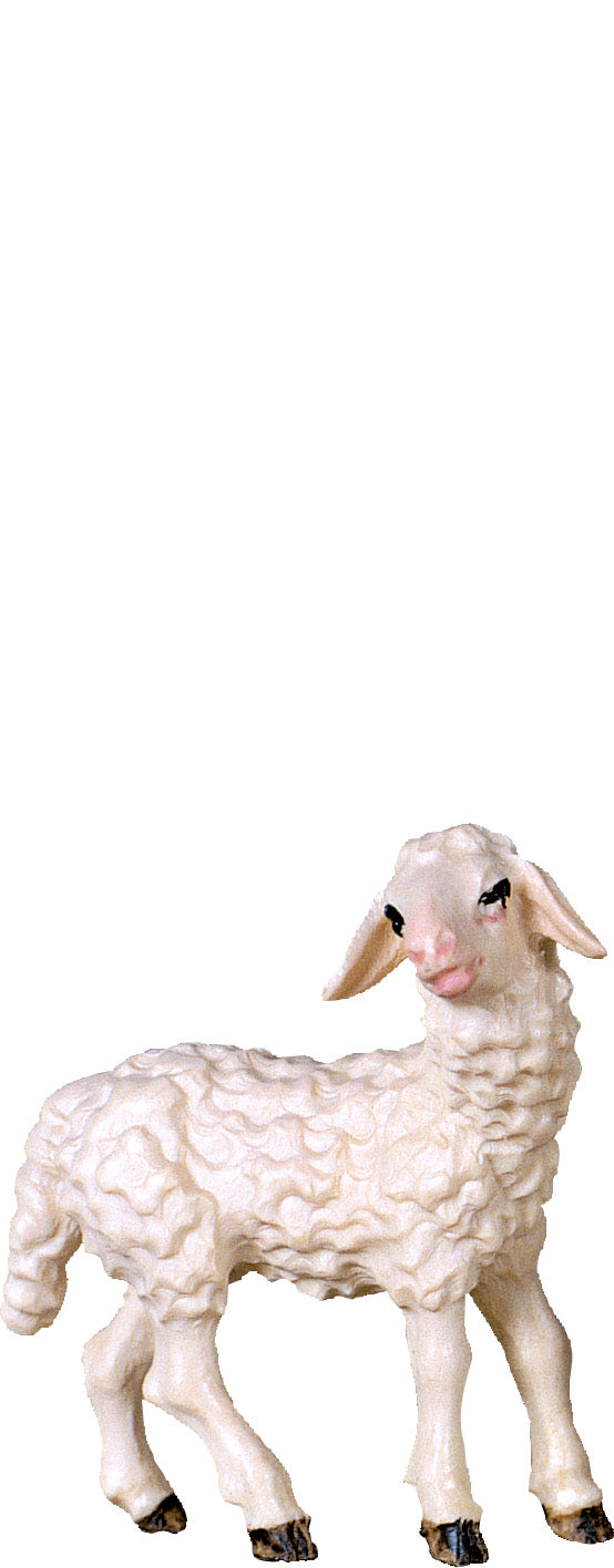 Lamm stehend B.K.