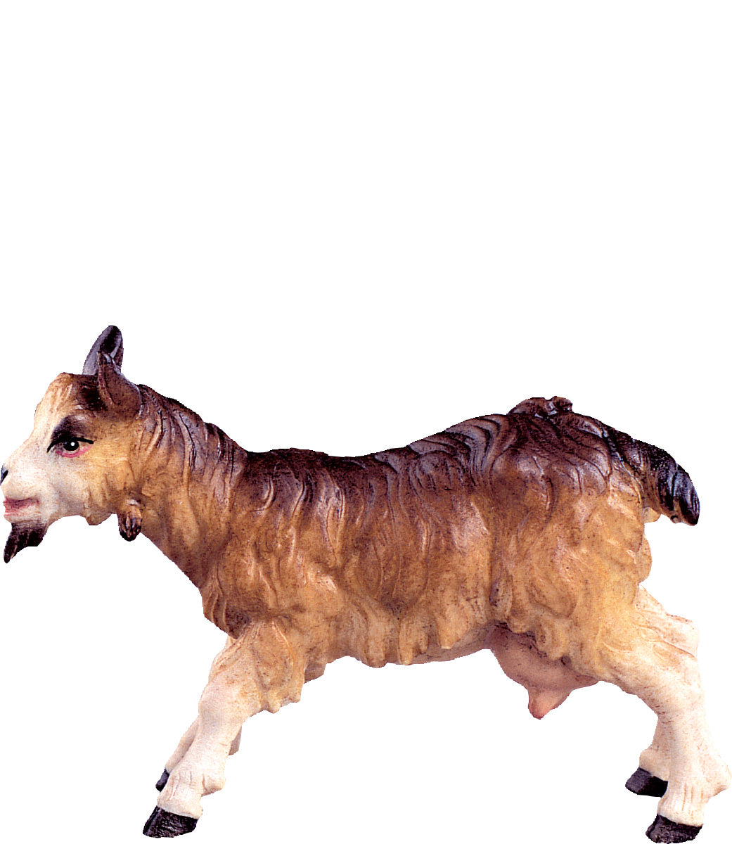 Ziege B.K.