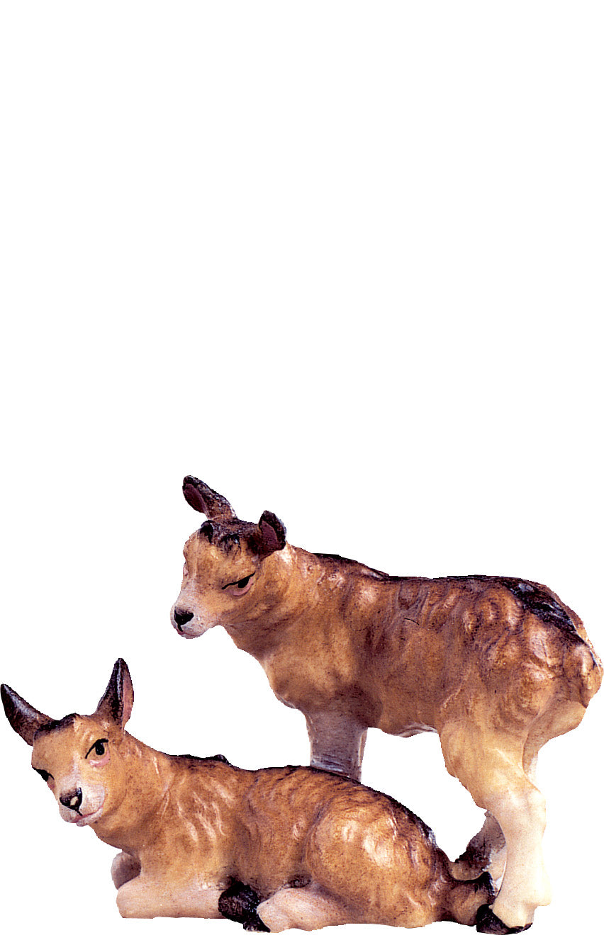Kitzgruppe B.K.