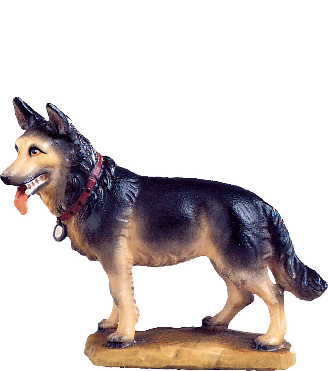 Schäferhund B.K.