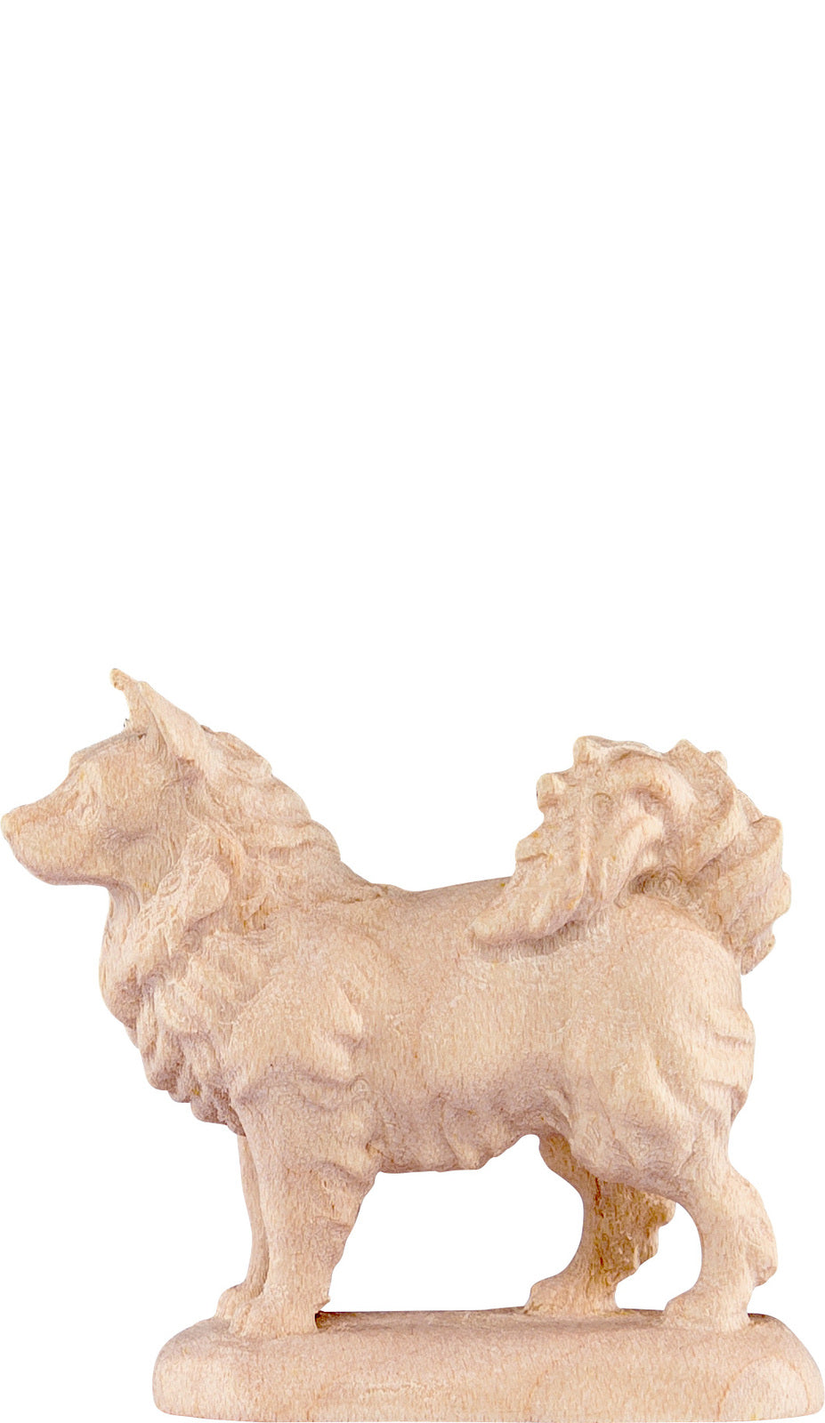 Spitzhund B.K.