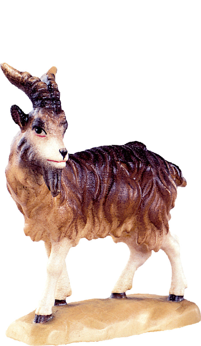 Ziegenbock D.K.