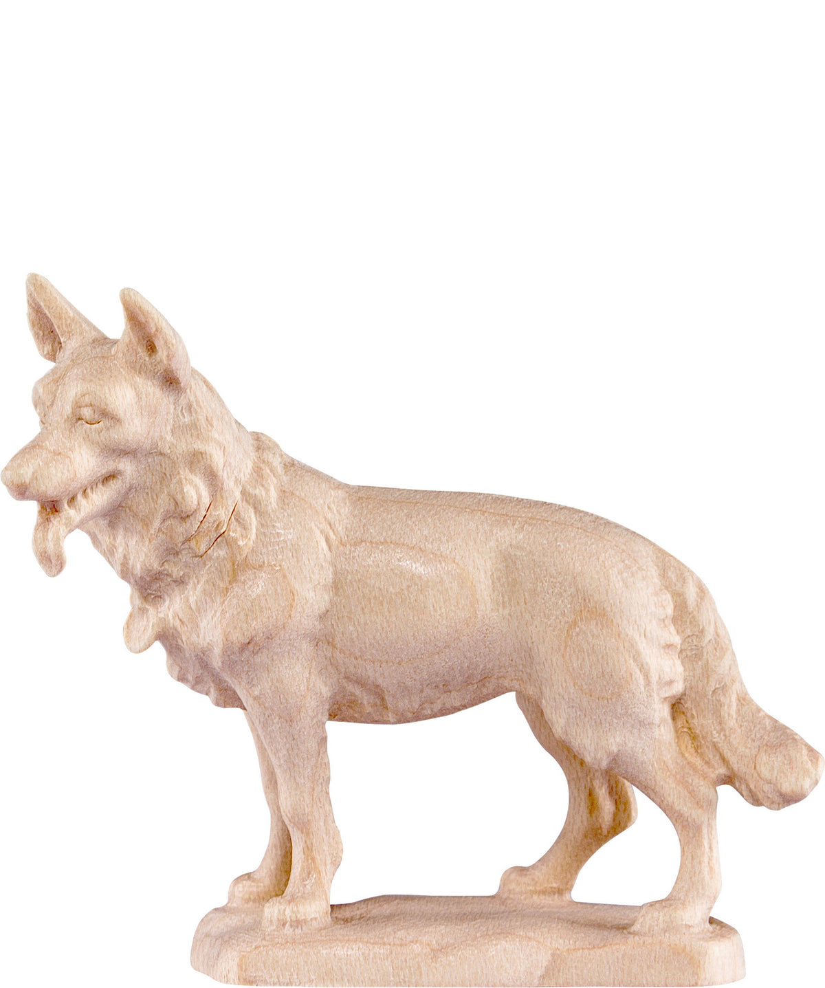 Schäferhund D.K.