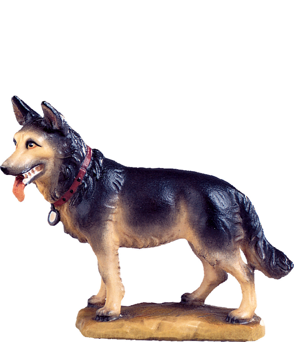Schäferhund D.K.