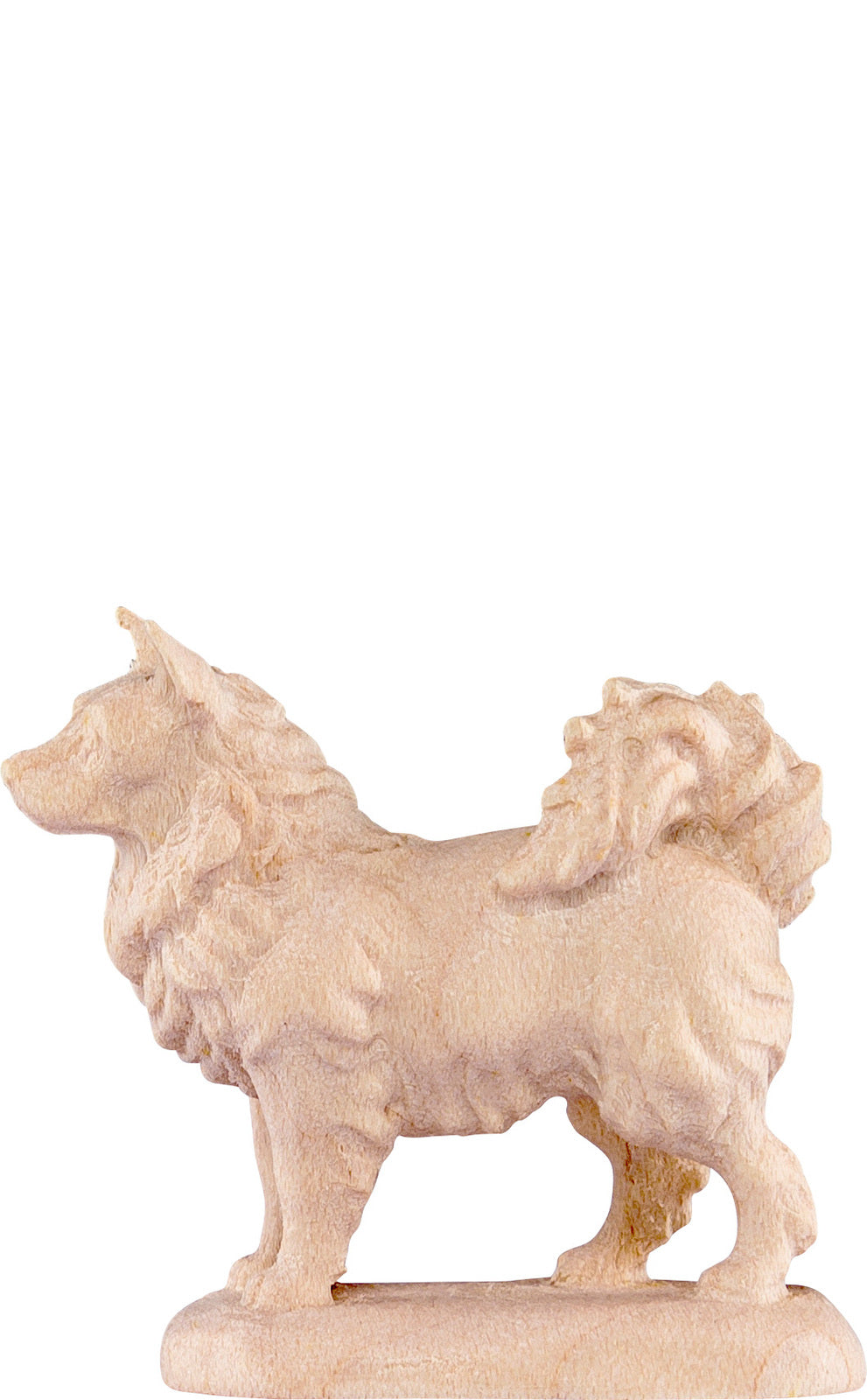 Spitzhund D.K.