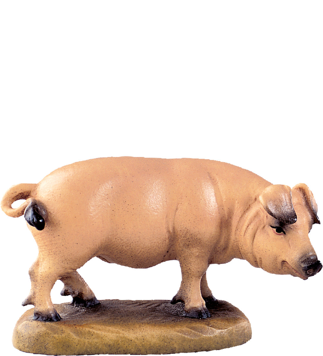 Schwein D.K.