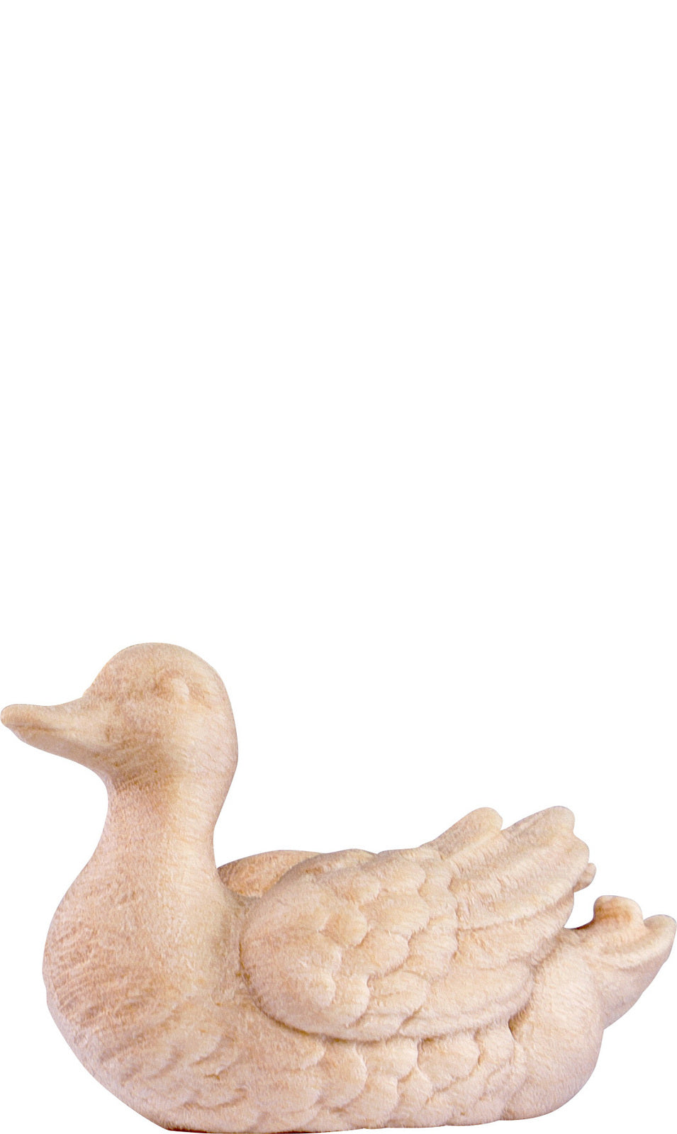 Ente D.K. weiss