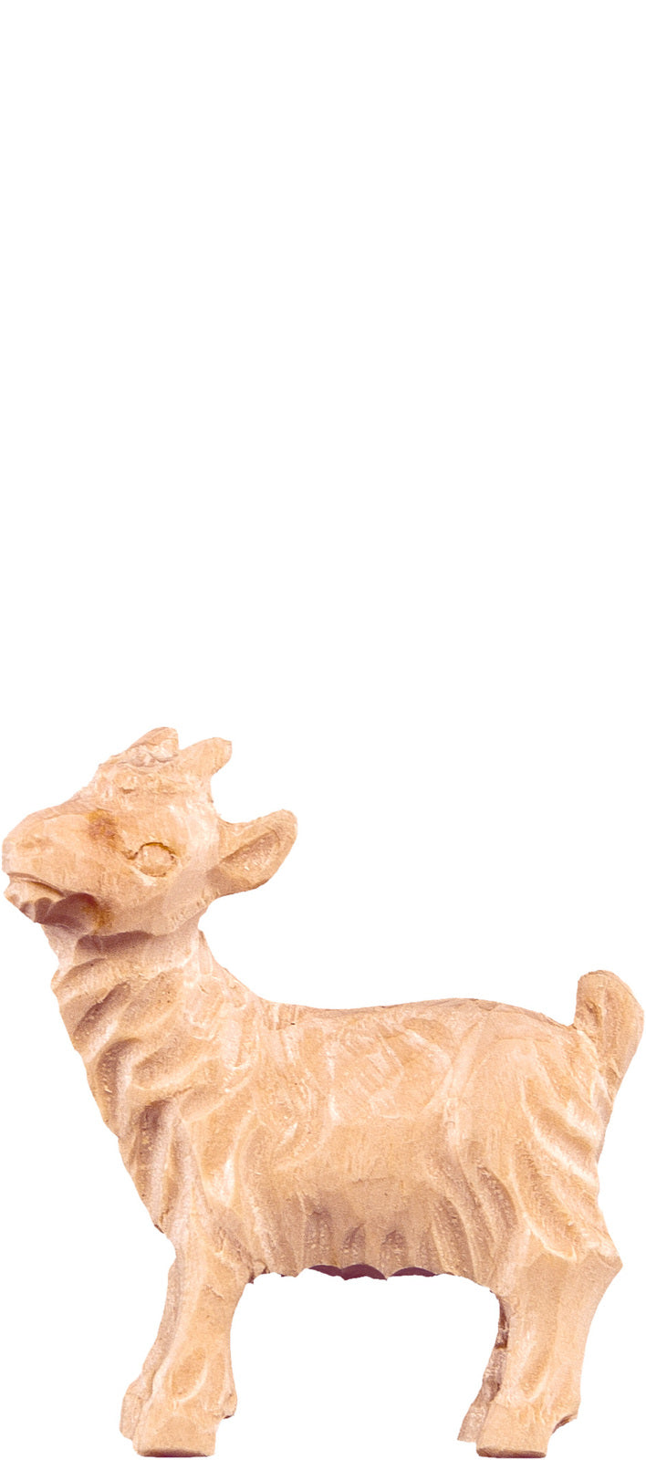 Kitz T.K.