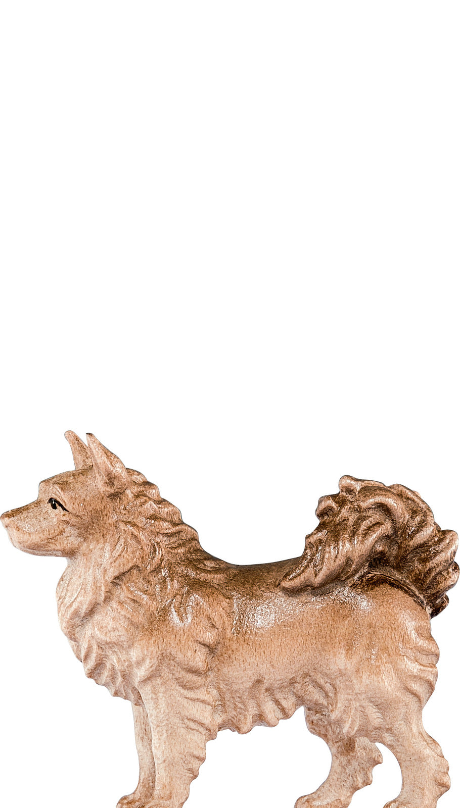 Spitzhund H.K.