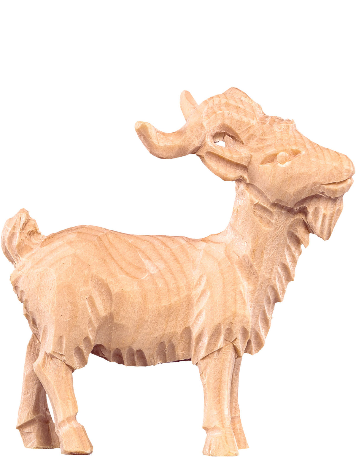 Ziegenbock R.K.