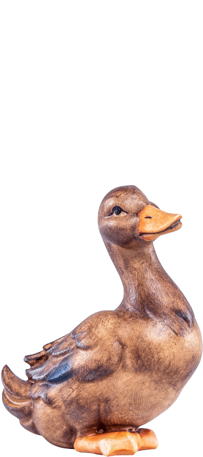 Ente Artis braun