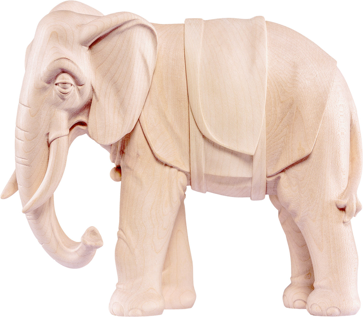 Elefant Artis