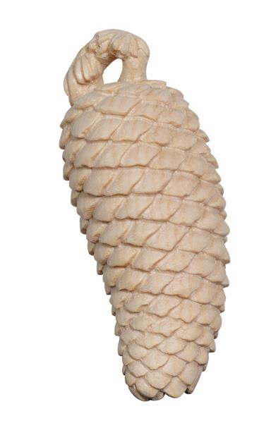 Fichtenzapfen