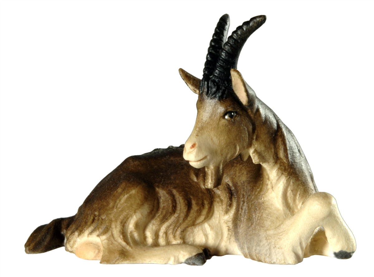 Ziege liegend