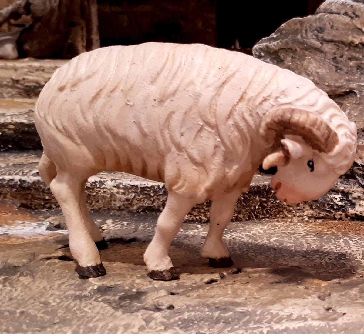 Schafsbock