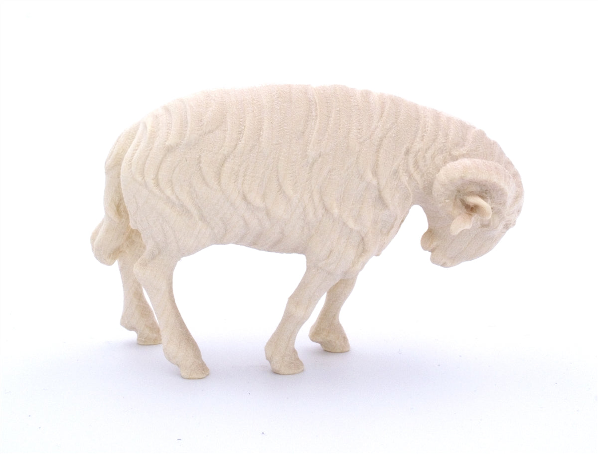 Schafsbock