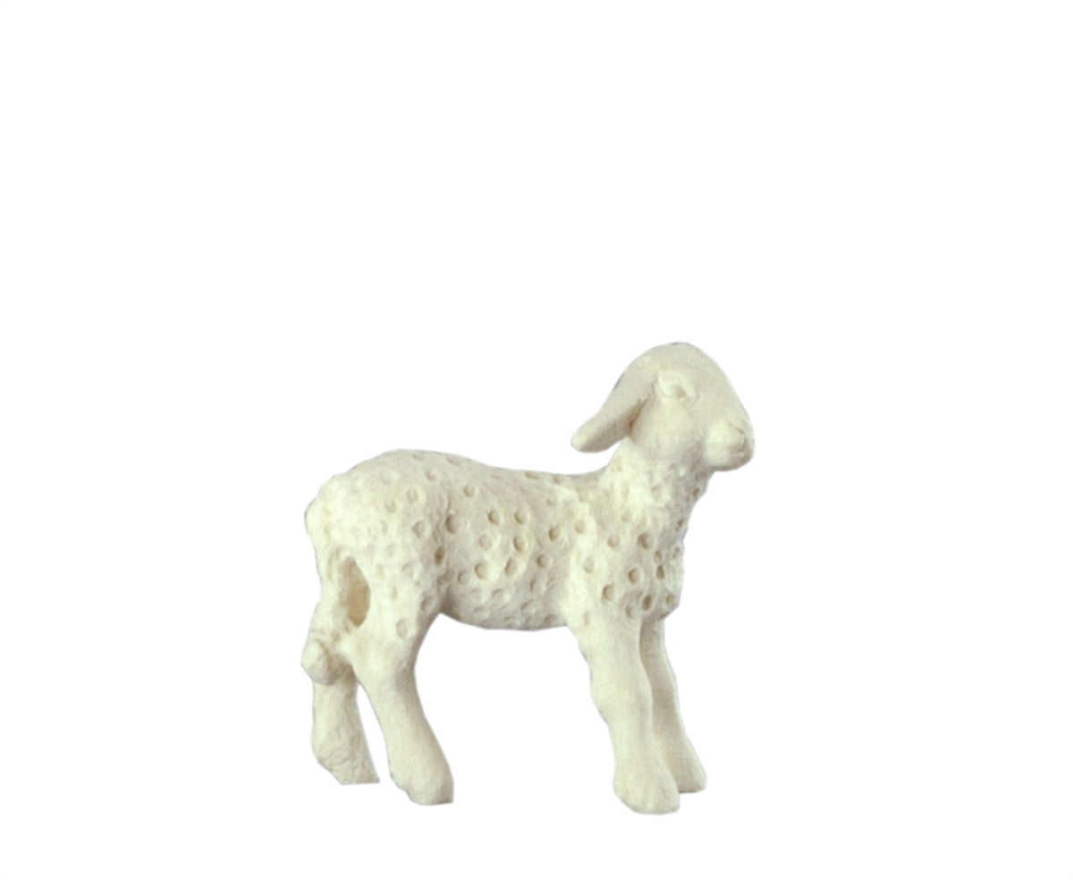 Lamm