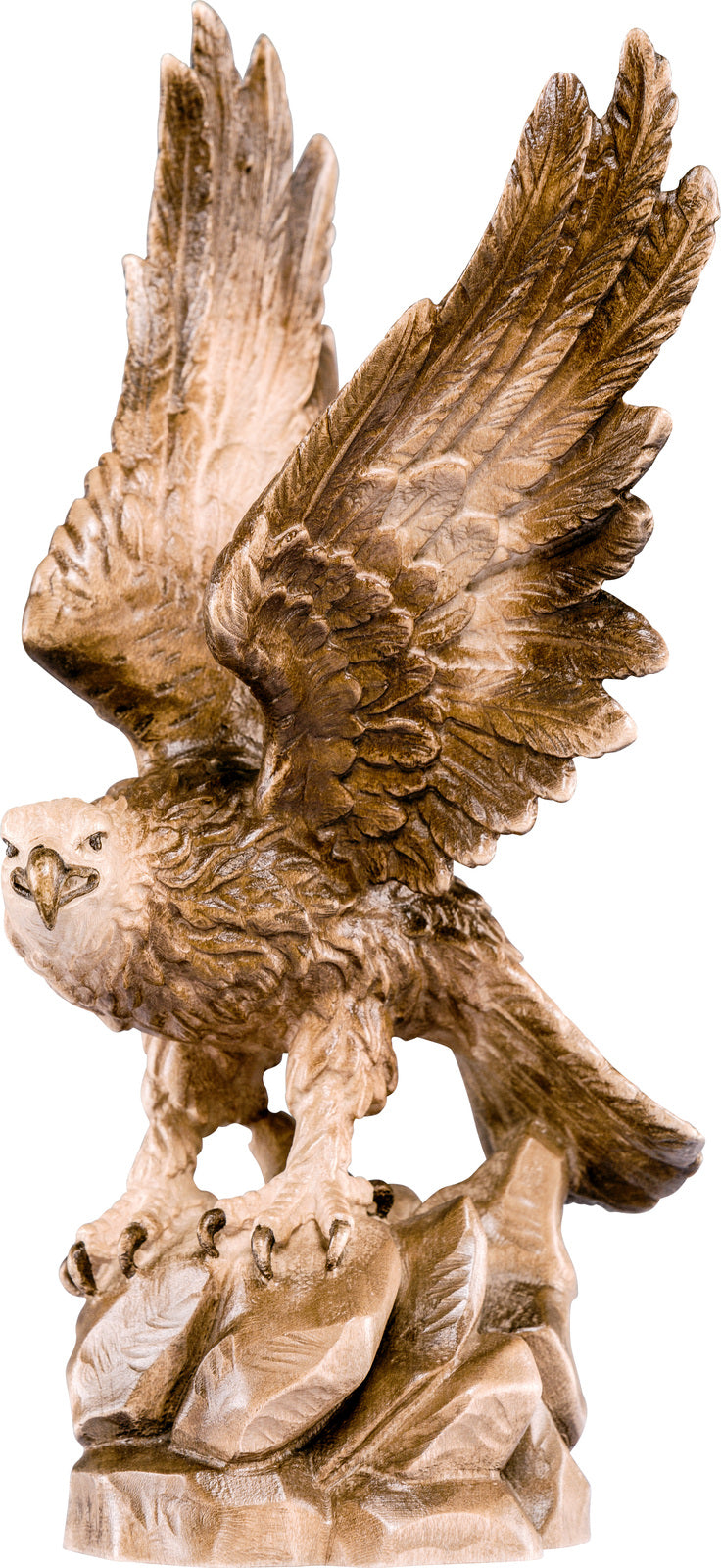 Weißkopfseeadler
