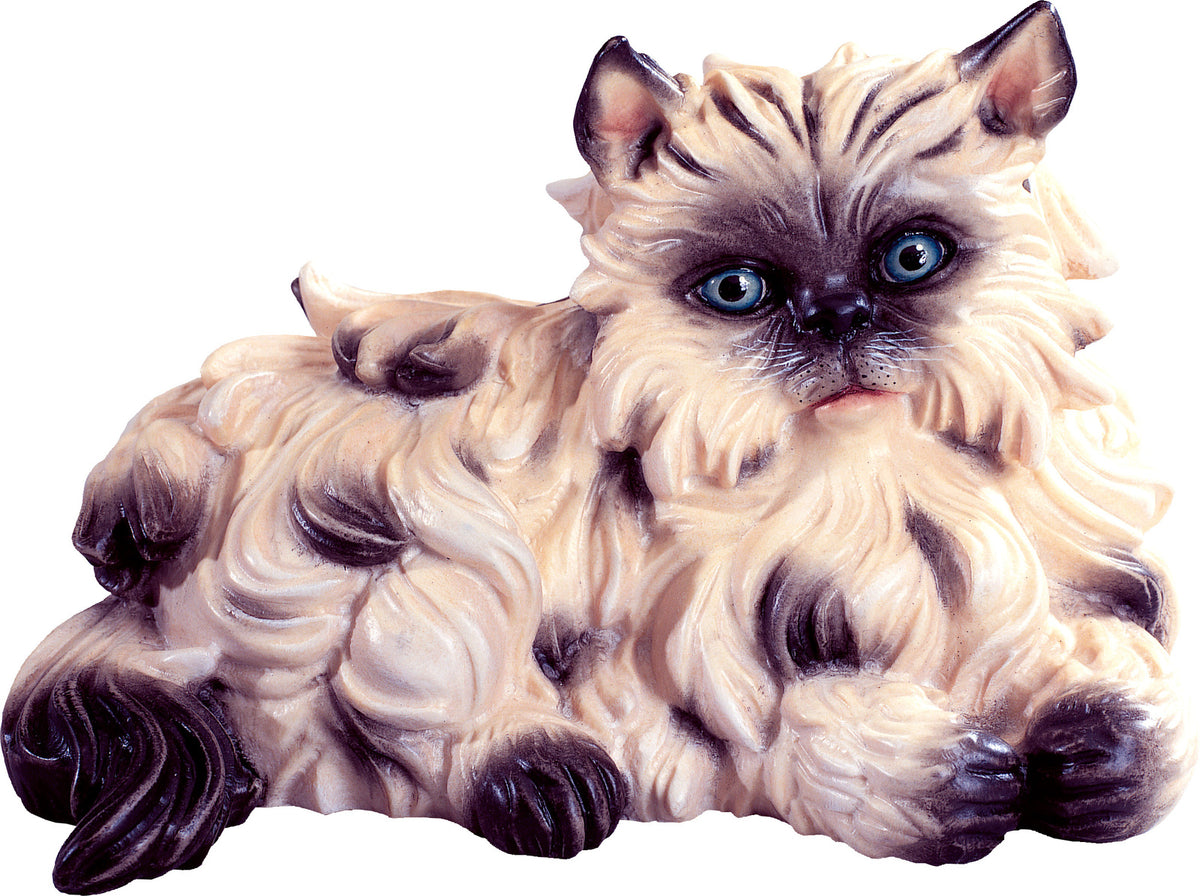 Perserkatze