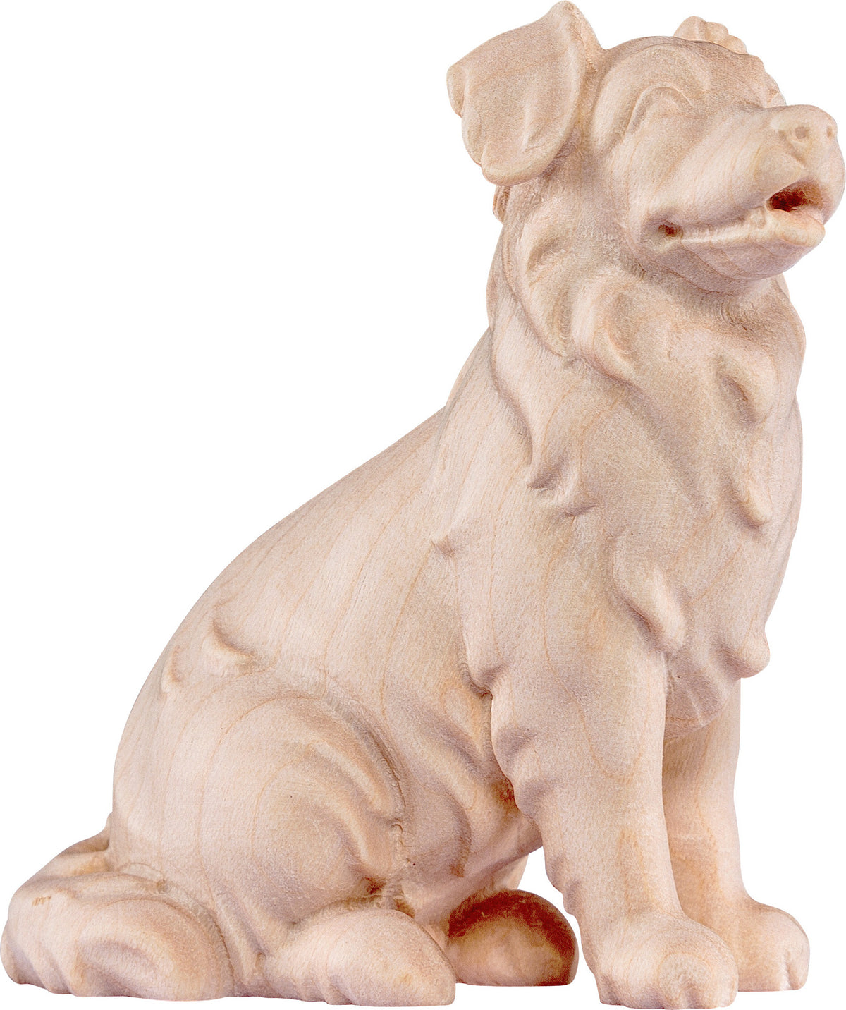 Australianischer Schäferhund
