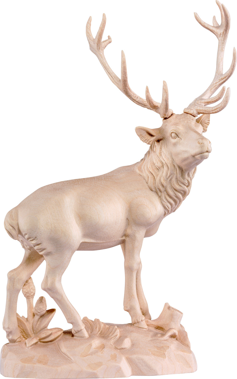Hirsch