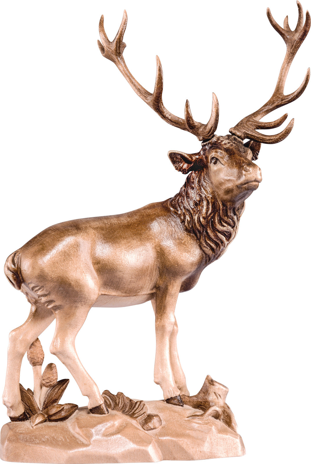 Hirsch
