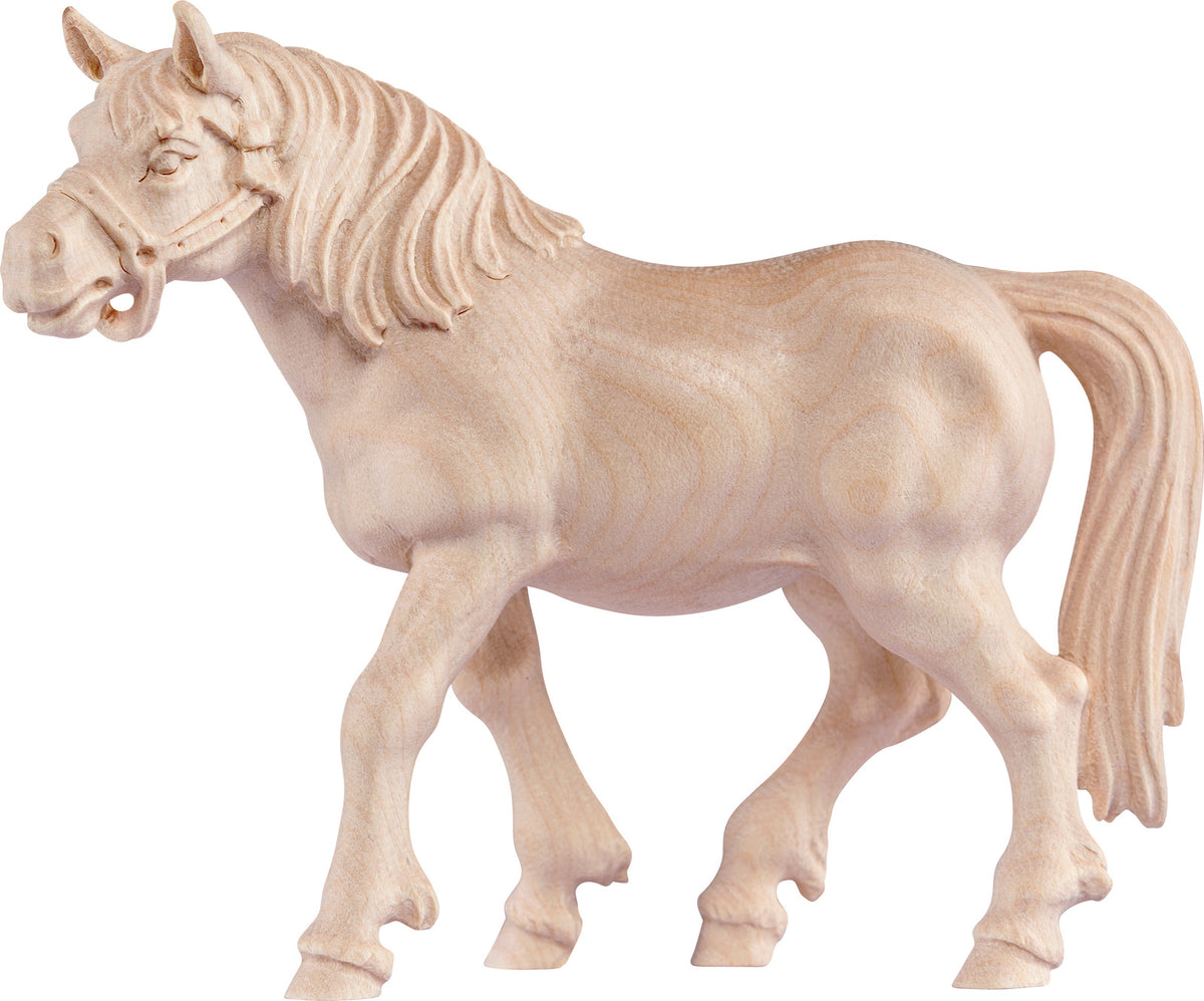 Pferd Rappe