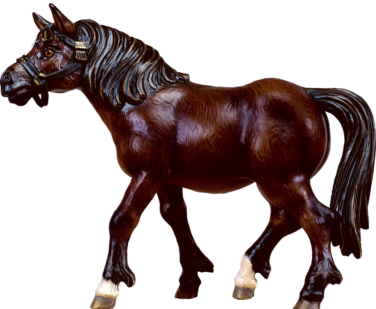 Pferd Rappe