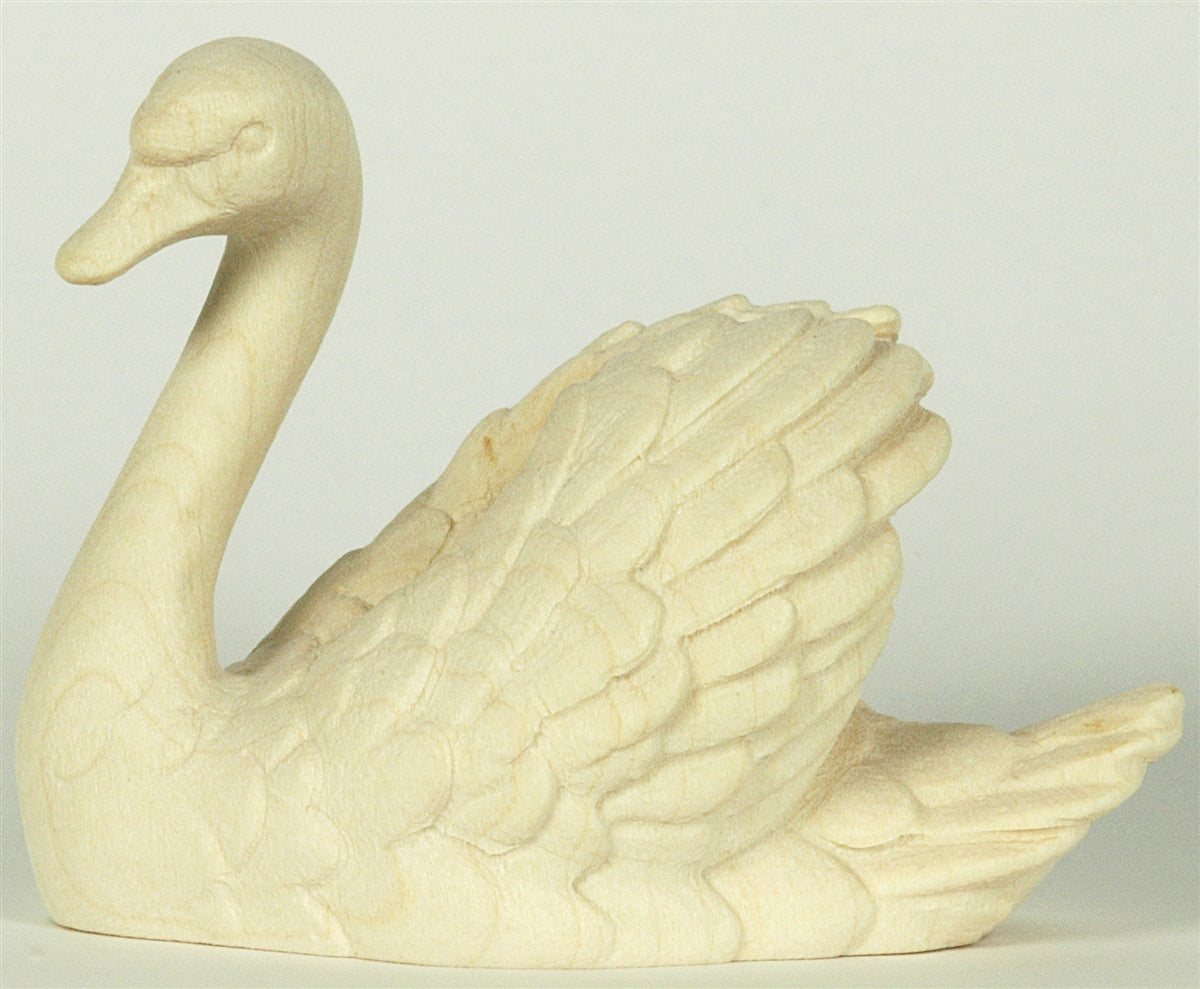 Schwan
