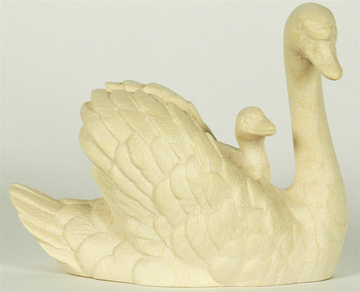 Schwan mit Junge auf Rücken