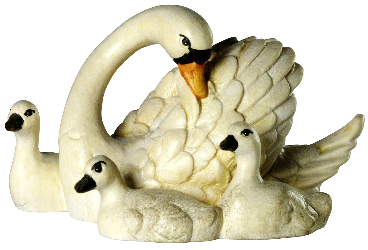 Schwan mit 3 Jungen