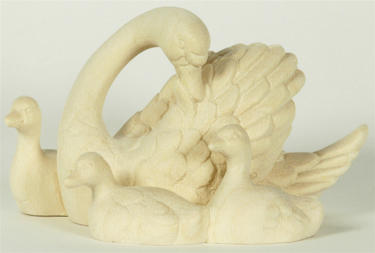 Schwan mit 3 Jungen