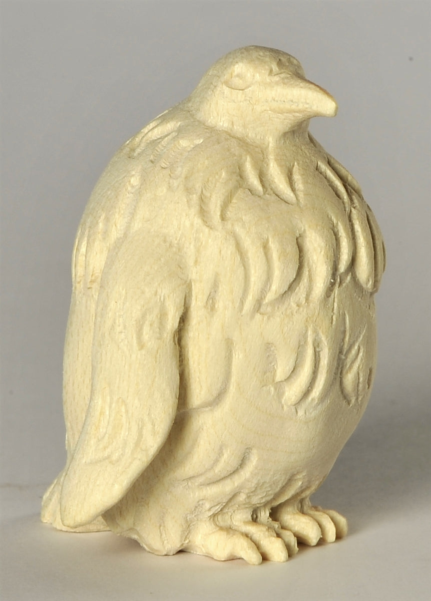 Pinguin - Junge