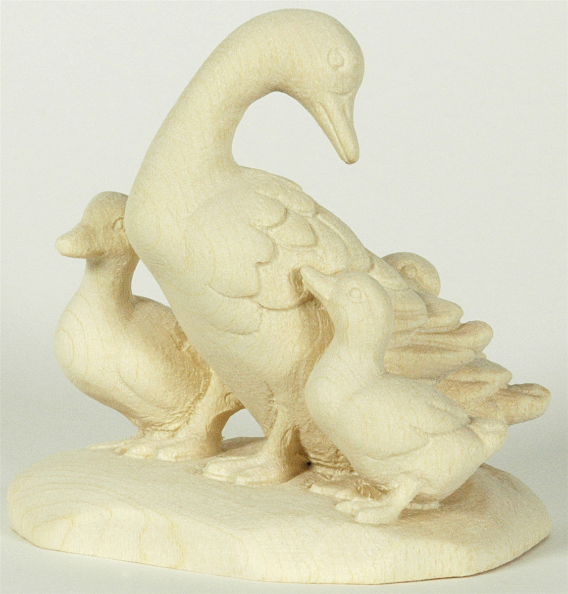 Ente Kopf hinten mit 3 Jungen