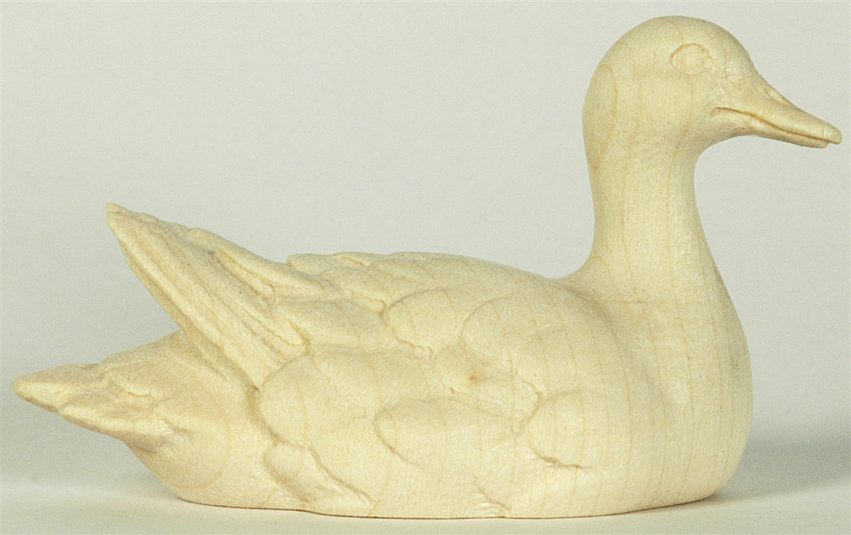 Ente schwimmend - Kopf rechts