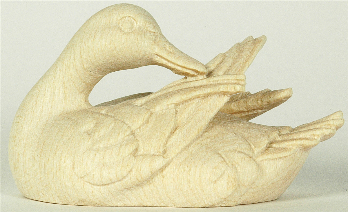 Ente - Flügel putzend