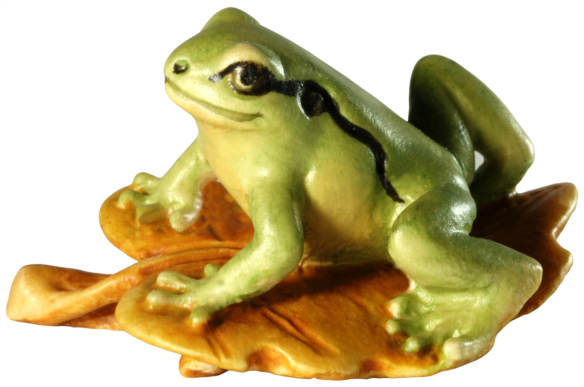 Laubfrosch auf Blatt
