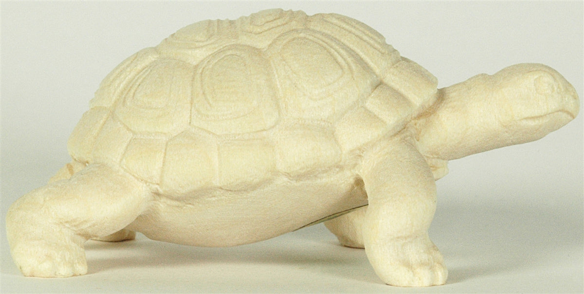 Landschildkröte