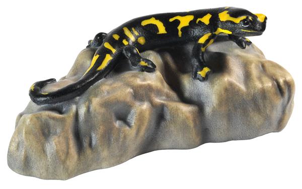 Salamander auf Stein