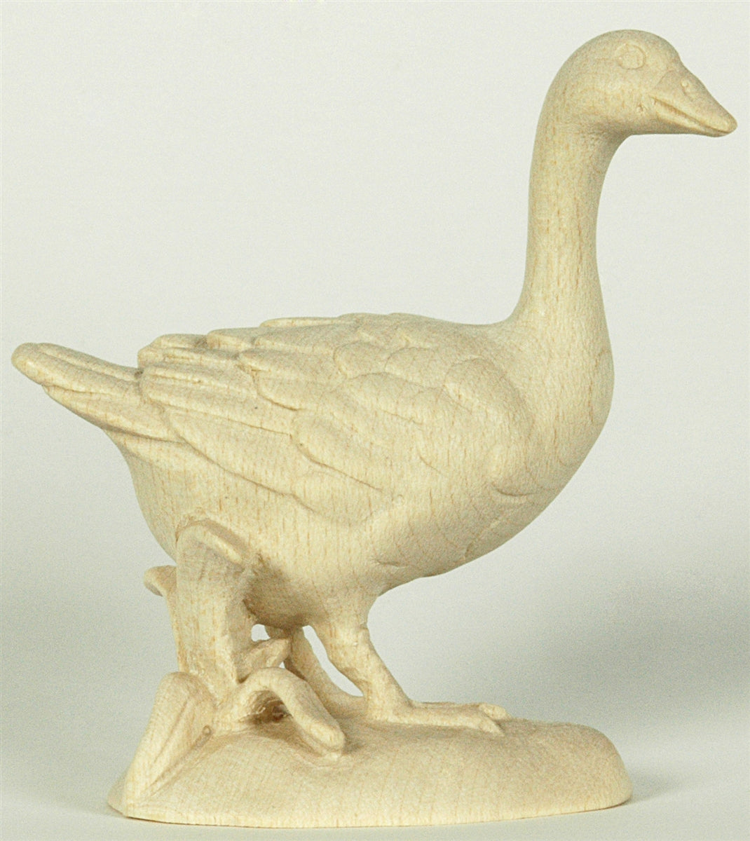 Gans - Kopf oben