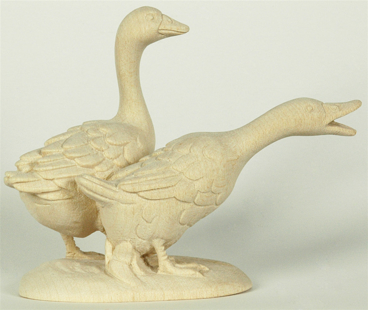 Gänsepaar