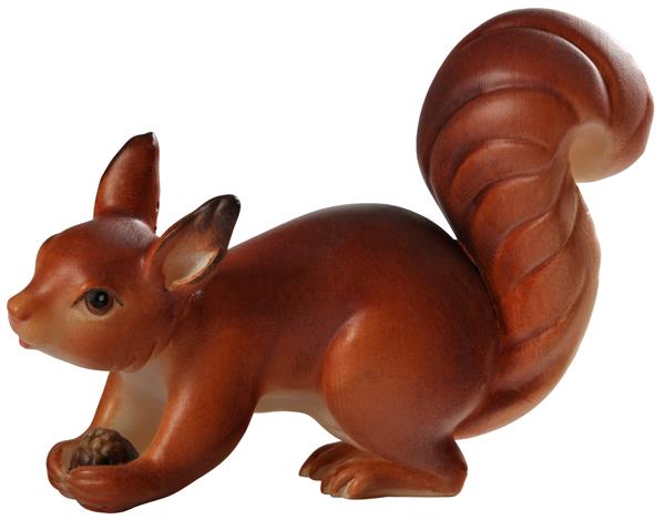 Eichhörnchen
